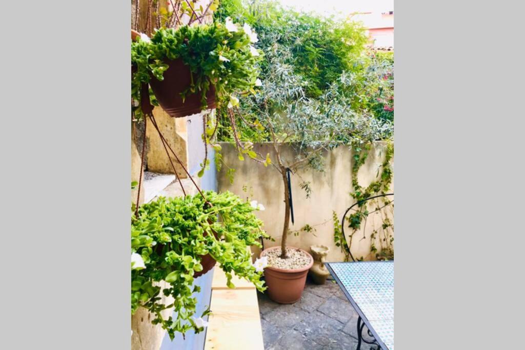 Oli'S Charming House Βίλα Κατάνια Εξωτερικό φωτογραφία